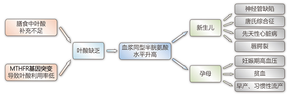 尊龙凯时网娱乐最新版 - 人生就得搏官网