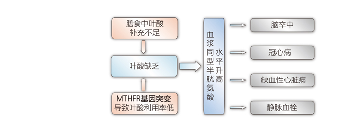 尊龙凯时网娱乐最新版 - 人生就得搏官网
