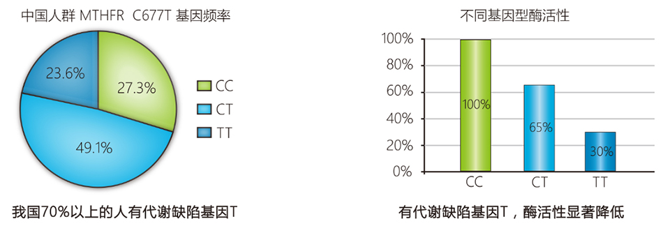 尊龙凯时网娱乐最新版 - 人生就得搏官网
