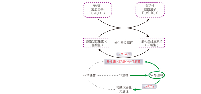 尊龙凯时网娱乐最新版 - 人生就得搏官网