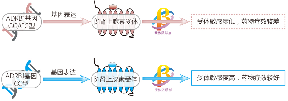 尊龙凯时网娱乐最新版 - 人生就得搏官网